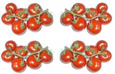 Tomaten-4x7.jpg